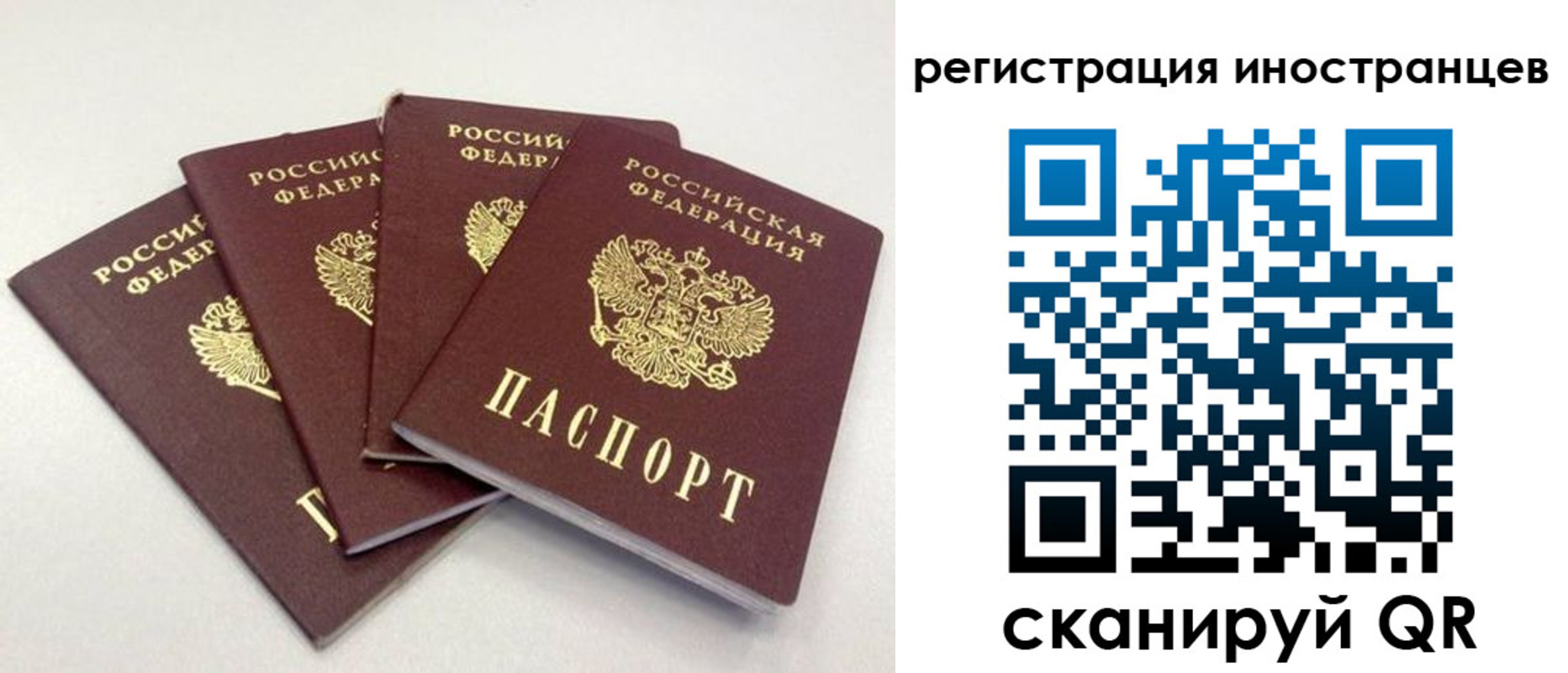 временная регистрация для школы в Камешково